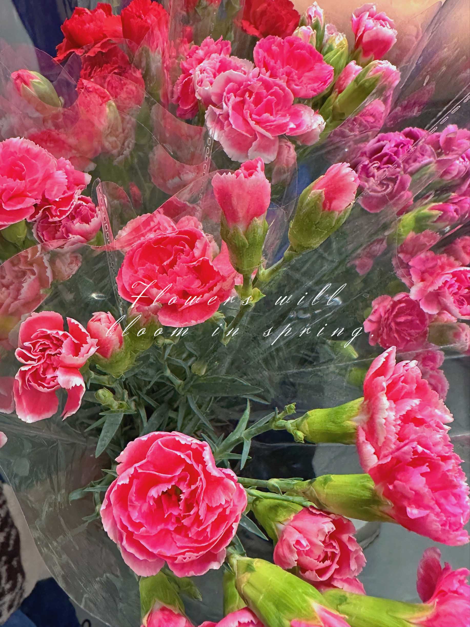 Happy Goddess Day！-