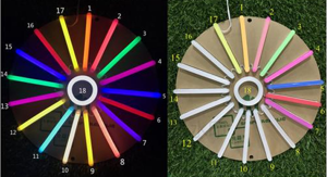 Custom LED Neon Sign-