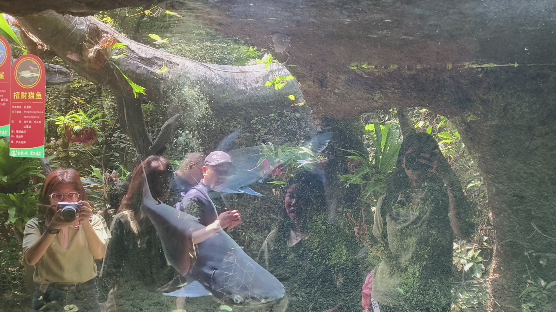 Company group building activities successfully concluded!- Company group building activities successfully concluded!-